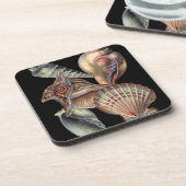 海の宝 コースター (左側)