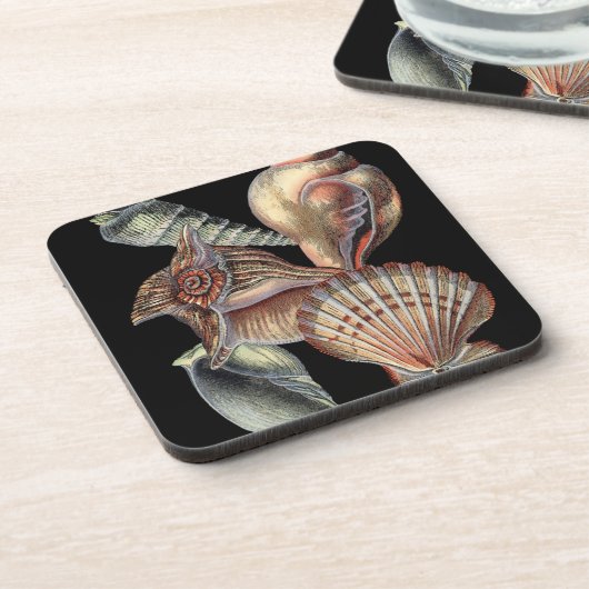 海の宝 コースター (左側)