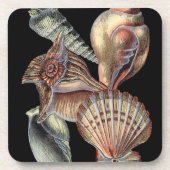 海の宝 コースター (正面)