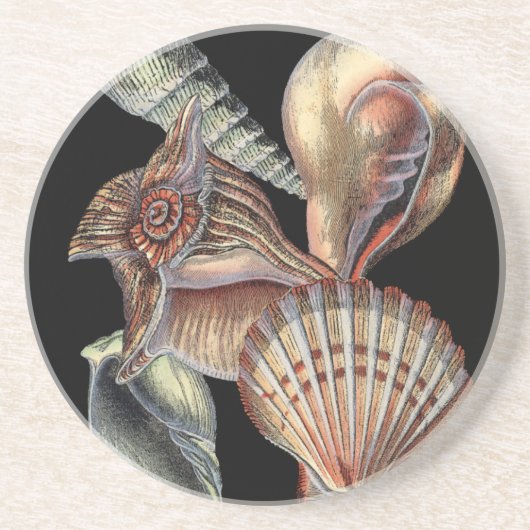 海の宝 コースター (正面)