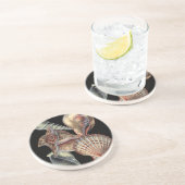 海の宝 コースター (側面)