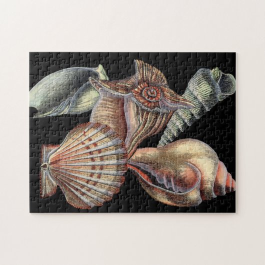 海の宝 ジグソーパズル (横)