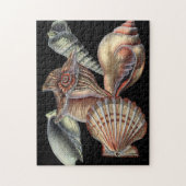 海の宝 ジグソーパズル (縦)