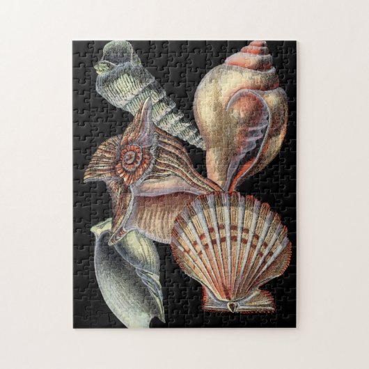 海の宝 ジグソーパズル (縦)