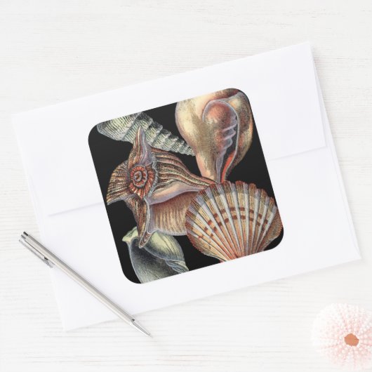 海の宝 スクエアシール (封筒)