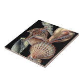 海の宝 タイル (側面)