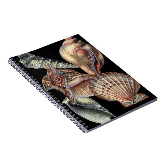 海の宝 ノートブック (右側)