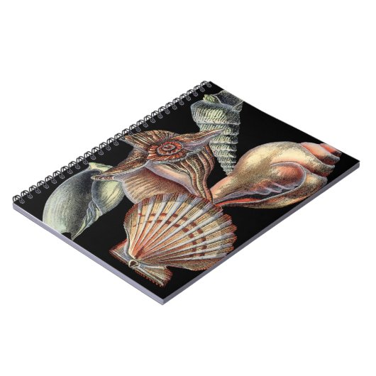 海の宝 ノートブック (左側)