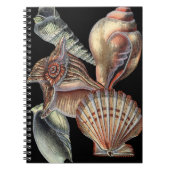 海の宝 ノートブック (正面)