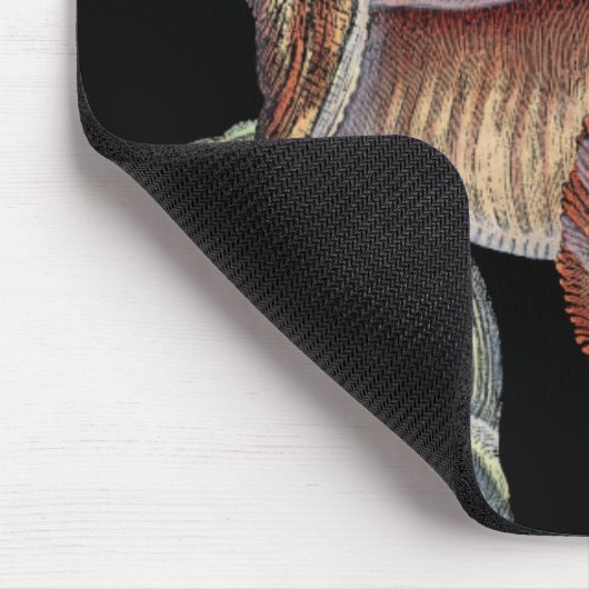 海の宝 マウスパッド (コーナー)