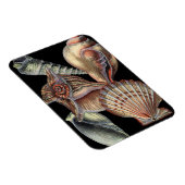 海の宝 マグネット (右側)