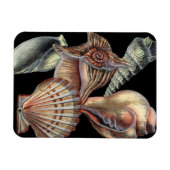 海の宝 マグネット (横)