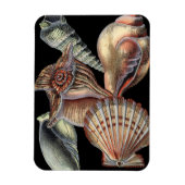 海の宝 マグネット (縦)