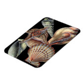 海の宝 マグネット (左側)