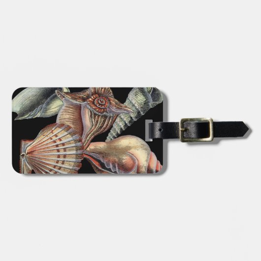 海の宝 ラゲッジタグ (正面横)