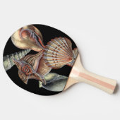 海の宝 卓球ラケット (横)