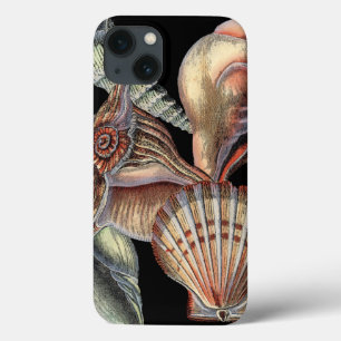 海の宝 iPhone 13ケース
