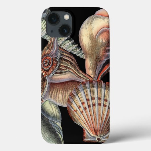 海の宝 Case-Mate iPhoneケース (裏面)
