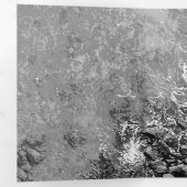 海の岩、ビュー2 三つ折りクリスマスカード (内部最初)