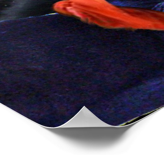 海の嵐の中の船とおしゃべりする海賊猫 ポスター (角)