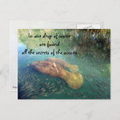 海の引用文はがき ポストカード (正面/裏面)