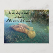 海の引用文はがき ポストカード (正面)