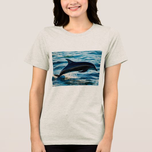 海の影: 黒いイルカ トライブレンドTシャツ (正面)