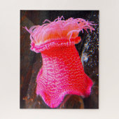 海の敵 ジグソーパズル (縦)