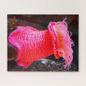 海の敵 ジグソーパズル (横)