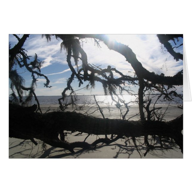 海の日没 (正面横)