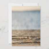 海の星の砂浜 保存日付のお知らせ セーブザデート (裏面)