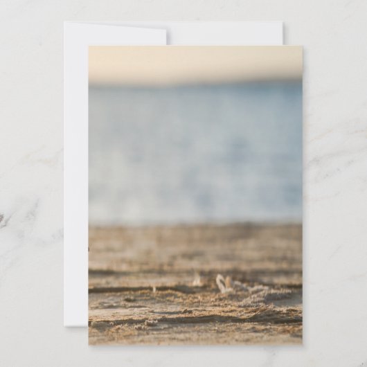 海の星の砂浜 保存日付のお知らせ セーブザデート (裏面)