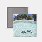 海の星、ロック諸島、パラオ2 マグネット (正面/裏面)