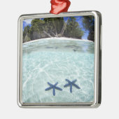 海の星、ロック諸島、パラオ2 メタルオーナメント (左)