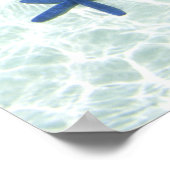 海の星、ロック諸島、パラオ ポスター (角)