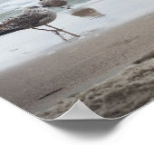 海の景色：波とカモメ ポスター (角)