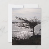 海の木の聖書の詩の勇気付けられるカード カード (正面)