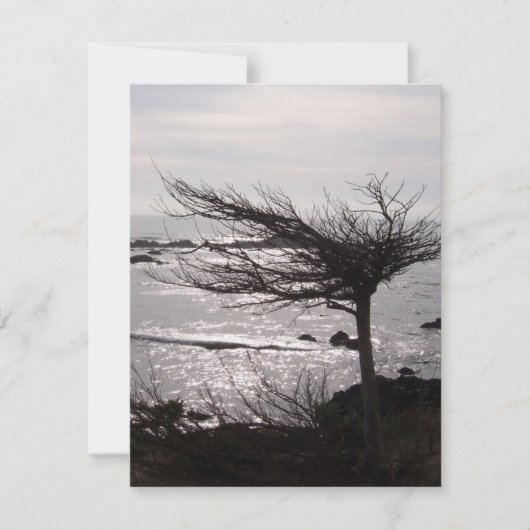 海の木の聖書の詩の勇気付けられるカード カード (正面)