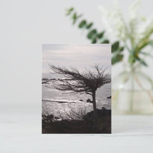 海の木の聖書の詩の勇気付けられるカード カード (スタンド正面)