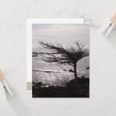 海の木の聖書の詩の勇気付けられるカード カード (正面/裏面インサイチュ)