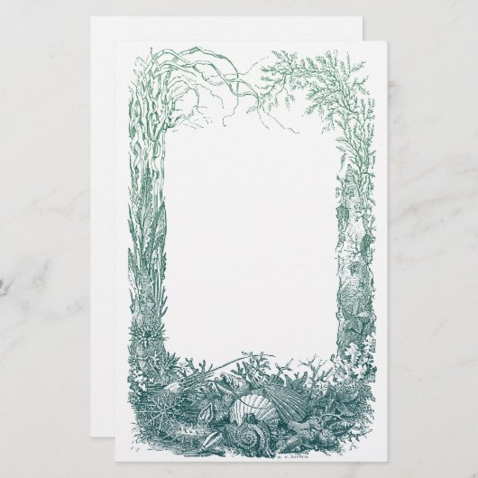 海の植物および貝のボーダーデザイン 便箋 (正面/裏面)