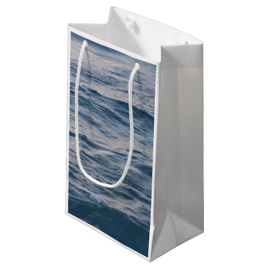 海の水が閉まる スモールペーパーバッグ (正面アングル)