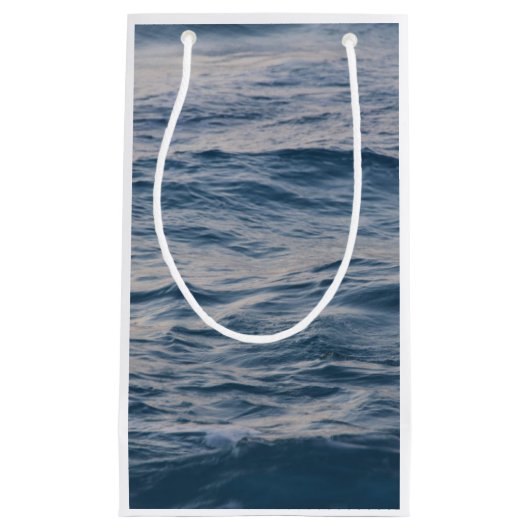 海の水が閉まる スモールペーパーバッグ (正面)