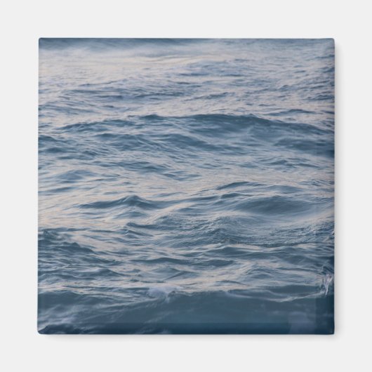 海の水が閉まる マグネット (正面)