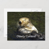 海の水はがき ポストカード (正面/裏面)