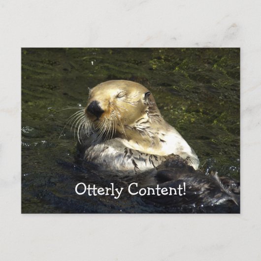 海の水はがき ポストカード (正面)