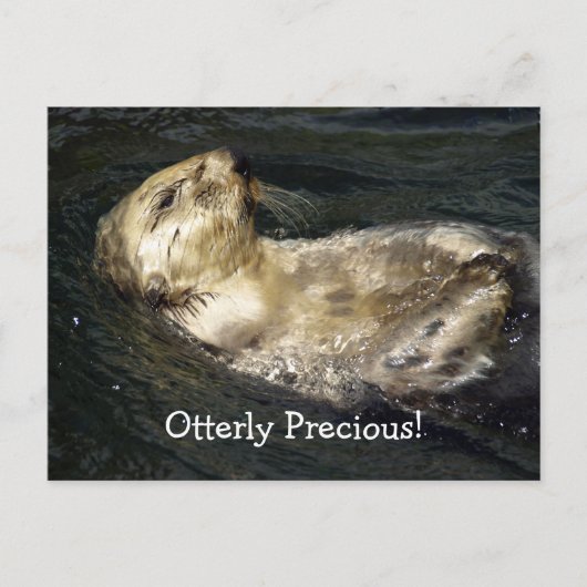 海の水はがき ポストカード (正面)