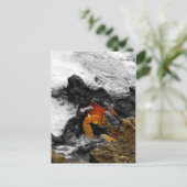 海の火事 ポストカード (スタンド正面)