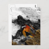 海の火事 ポストカード (正面/裏面)