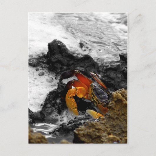 海の火事 ポストカード (正面)